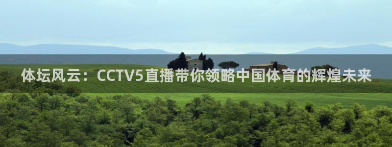 新球体育比分：体坛风云：CCTV5直播带你领略中国体育的辉煌未来