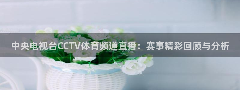 新球足球：中央电视台CCTV体育频道直播：赛事精彩回顾与分析