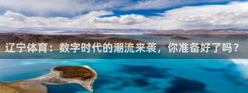 新体球即时比分新球体育：辽宁体育：数字时代的潮流来袭，你准备好了吗？