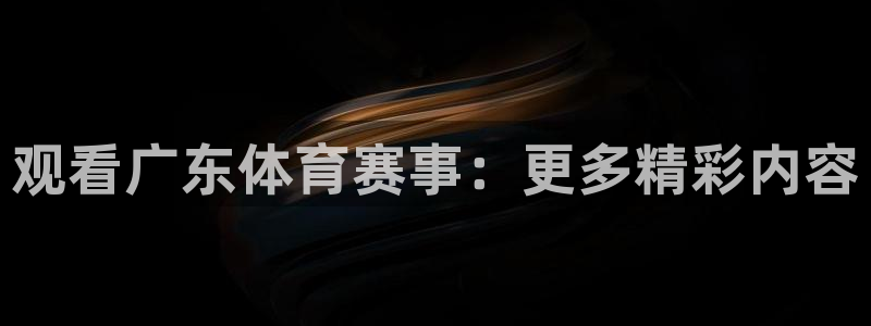 新球体育直播：观看广东体育赛事：更多精彩内容