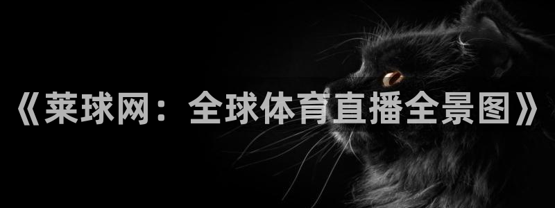新球体育即时分：《莱球网：全球体育直播全景图》