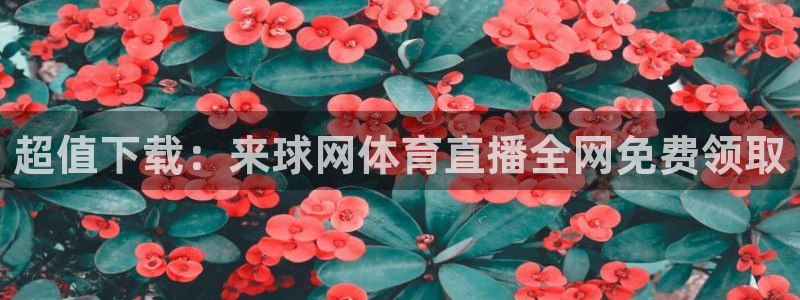 新球体育完整版：超值下载：来球网体育直播全网免费领取