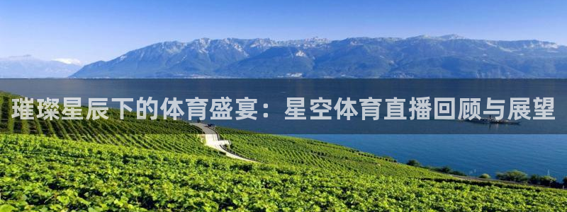 新球体育足球即时比分：璀璨星辰下的体育盛宴：星空体育直播回顾与展望