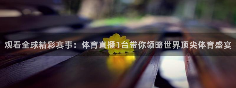 新球足球直播：观看全球精彩赛事：体育直播1台带你领略世界顶尖体育盛宴