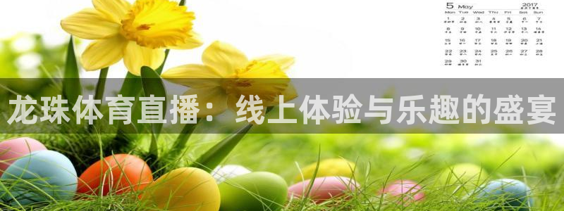 新球体育足球即时比分：龙珠体育直播：线上体验与乐趣的盛宴