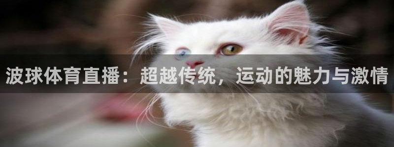 新球体育足球即时比分：波球体育直播：超越传统，运动的魅力与激情